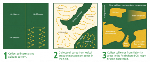Figure 8. Three approaches to collecting SCN soil samples 1) collect soil cores using a zig-zag pattern, 2) collect soil cores from logical areas of management zones in the field and 3) collect soil cores from high-risk areas in the field where SCN might first be discovered. (www.thescncoalition.com)