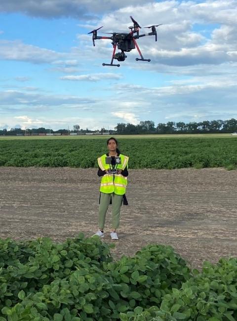 Research assitant operating unmanned aerial vehicle above soybean field.jpg
