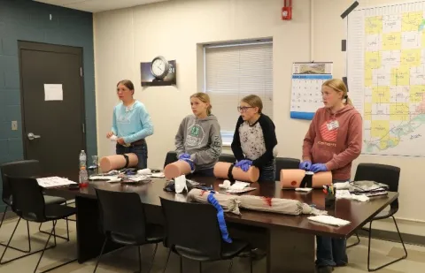 Williams County Babysitter Trainings 2025