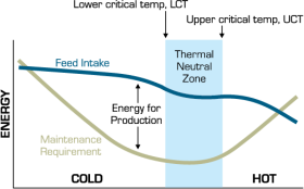 Figure 1. Relationship of feed intake and maintenance requirements to temperature. 
