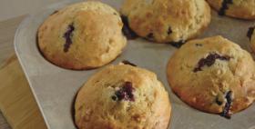 Blueberry and Oatmeal Power Muffins