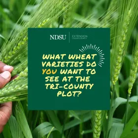 Tri-County Plot Variety Survey