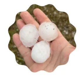 3 golf size hail pieces in an adult hand
