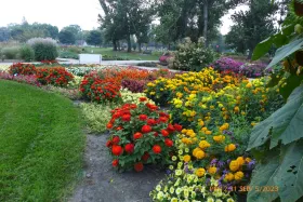 NDSU All America Selections Garden