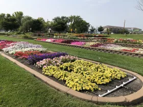 Annual flower trials in NDSU Gardens
