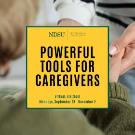 Powerful Tools for Caregivers Website Button