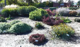 Xeric Garden at NDSU Gardens