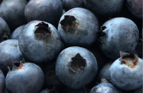 Pile of blueberries