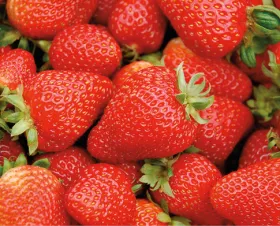 Pile of strawberries