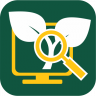 An app icon with a green background. and a yellow computer screen and magnifying glass and plant in white.