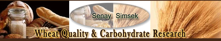  Senay Simsek Research Website