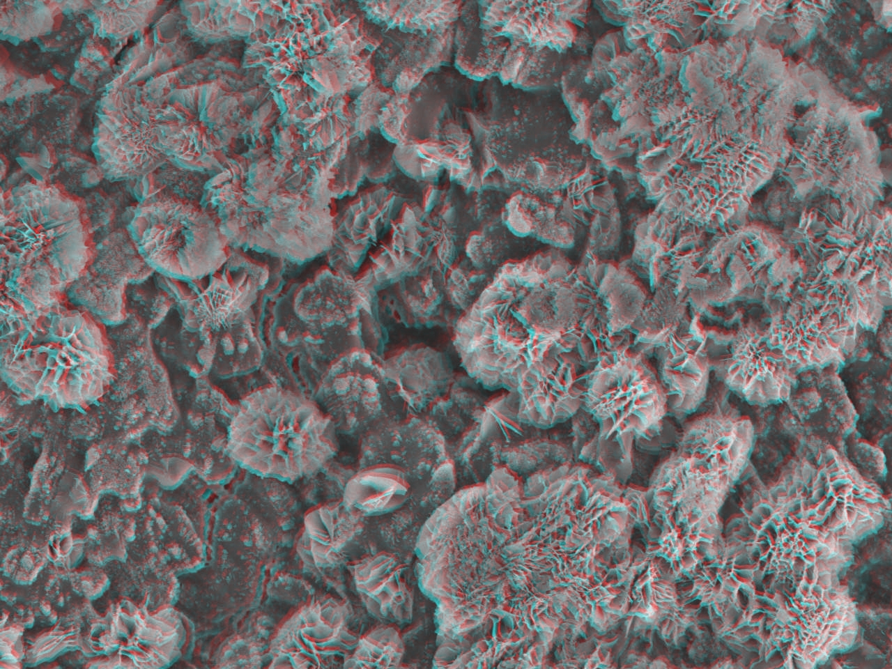 Magnesium hydroxide crystals Electron Microscopy Center NDSU