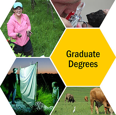 Image of researchers in the field and link to graduate degrees page