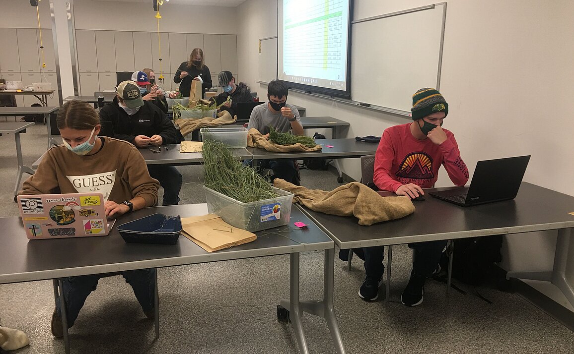 NDSU students wearing masks examine plant material in a HyFlex classroom.