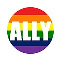 LGBTQ+ ally symbol