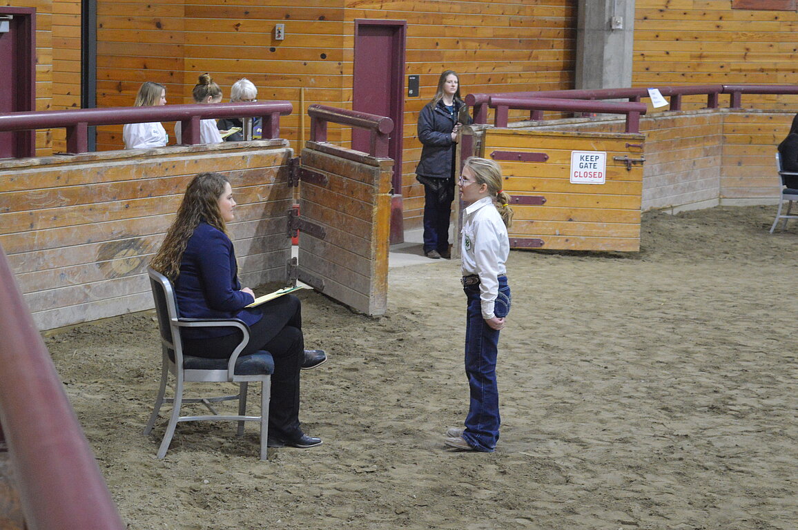 A 4-H'er and judge in the livestock ring