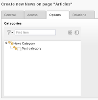 Options tab of news article record (categories)