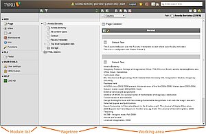 The whole TYPO3 backend interface is made up of three sections--module list, Pagetree and working area.