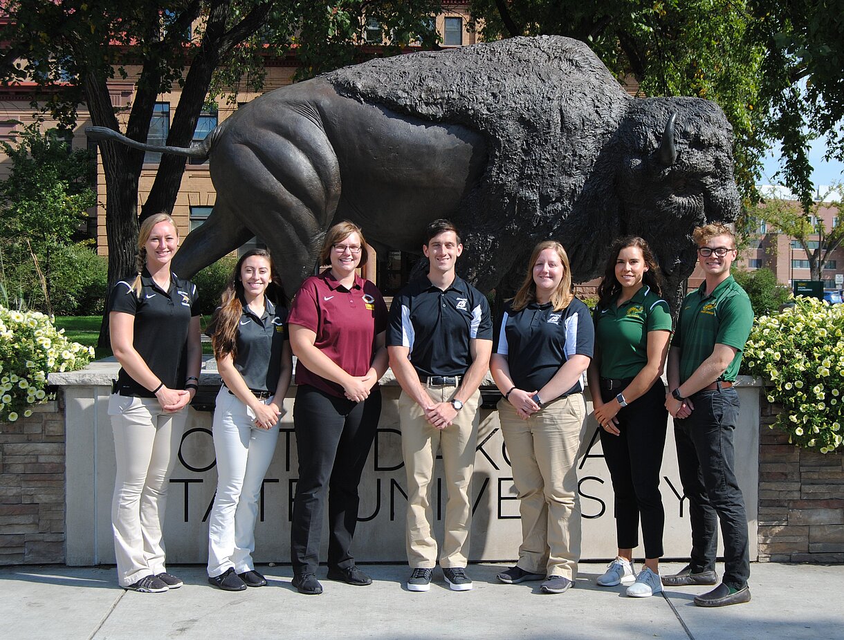 Ndsu dissertation submission image