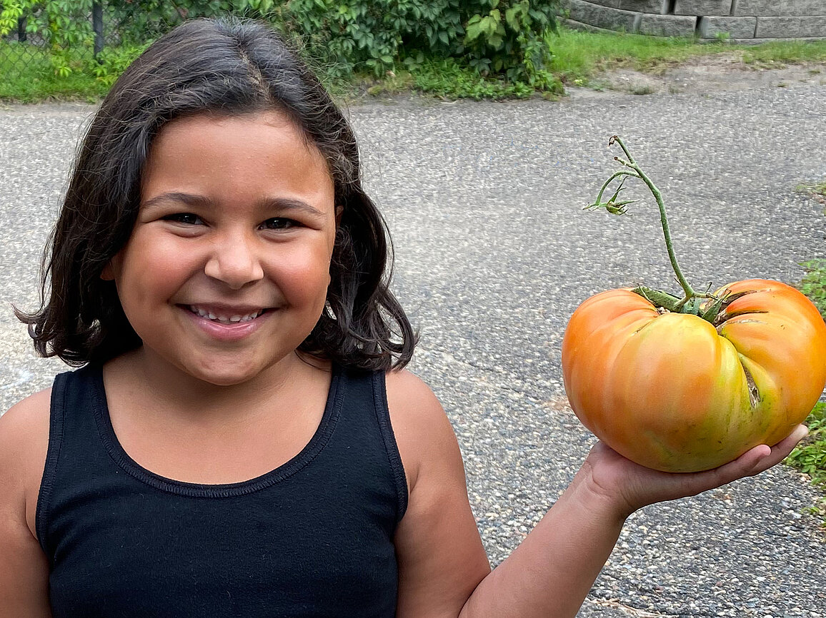 A young girl faces the camera holding a very large tomato that is just starting to ripen