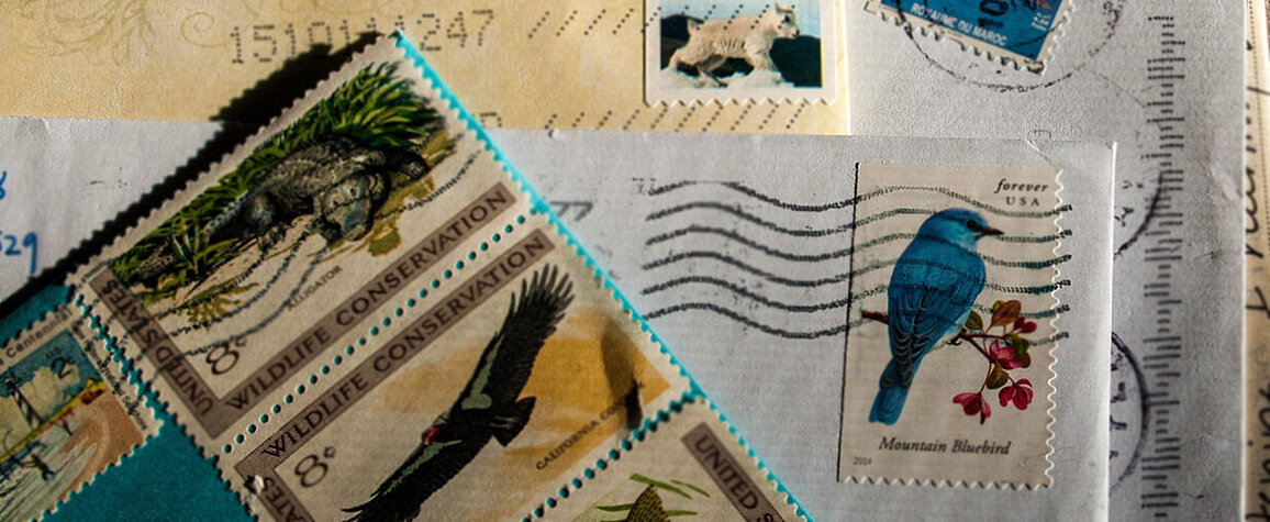 Postage stamps on a transcript being mailed.