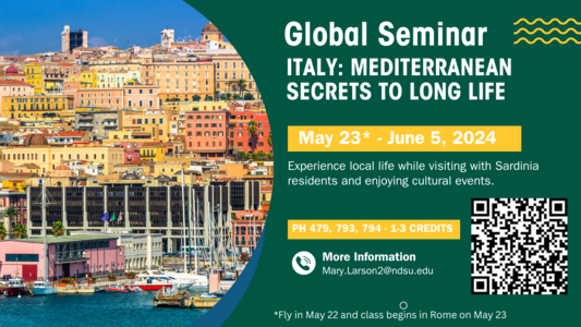 Click to learn more about the Global seminar