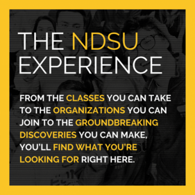The NDSU experience