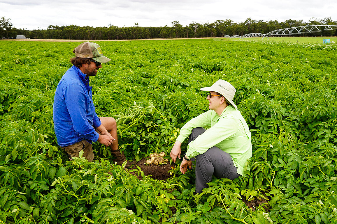 Two people, one sitting and the other kneeling, in a potato field.