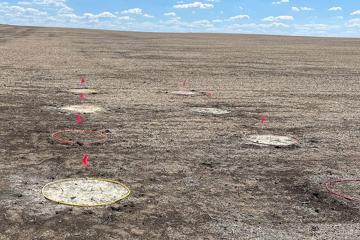A field marked with eight small circles and red flags to indicate soil testing sites