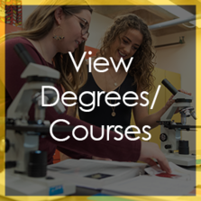 Click here to View Degrees/Courses