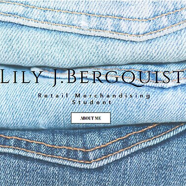 Lily Bergquist portfolio, click thumbnail for full site.