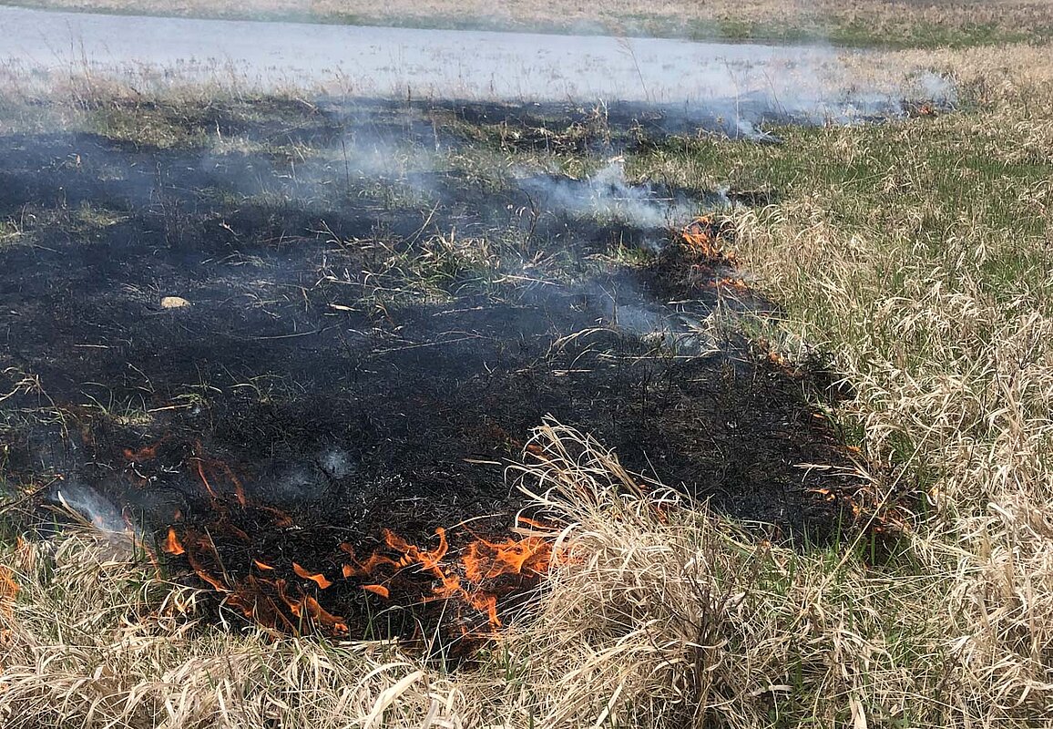 A small patch of rangeland burning 