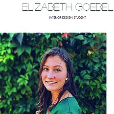 Elizabeth Goebel portfolio.  Click link to view website.