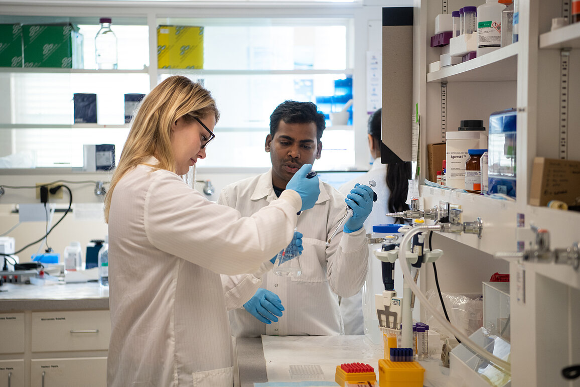 image of students in lab