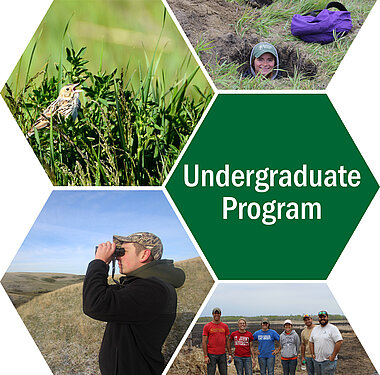 Image of researchers in the field and link to undergraduate programs page
