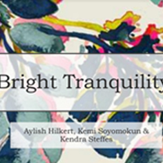 Bright Tranquility Photo Click for PDF of Project