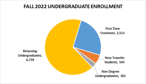 Fall All Undergraduates Enrollment