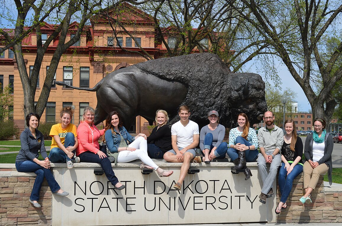 Image of counseling students by NDSU bison statue
