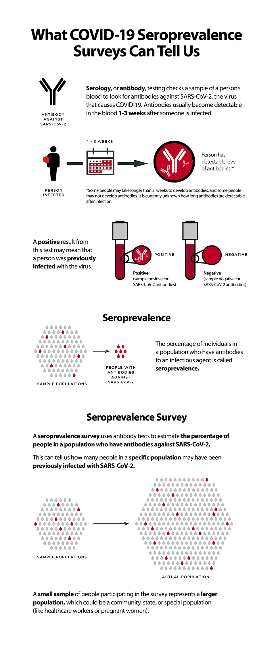 Infographic about COVID-19 Seroprevalence Surveys Can Tell Us