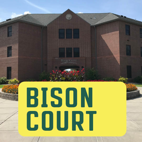 Bison Court