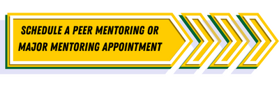 Schedule a Peer Mentoring or Major Mentoring Appointment