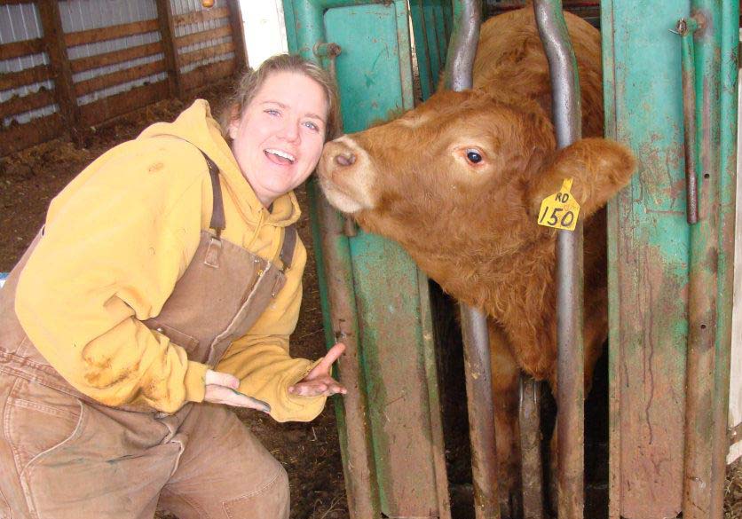 An NDSU vet tech student interacts a beef cow