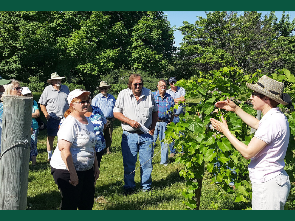 Kathy Wiederholt gives a tour of the Northern Hardy Fruit Evaluation project to participants gathered in the orchard.