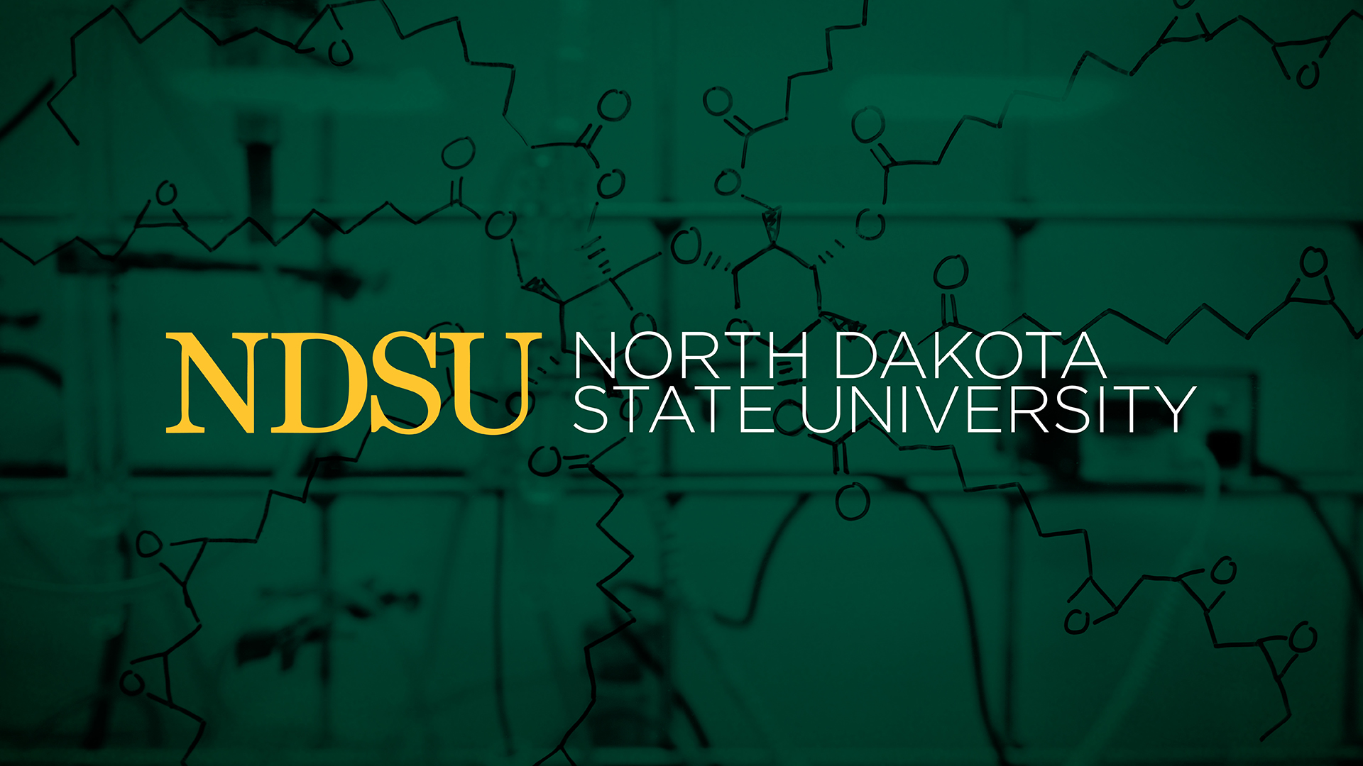 Zoom Graphics University Relations NDSU