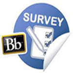 Blackboard survey at midterm