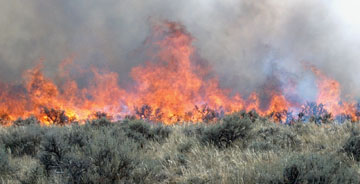 Prescribed fire in a sagebrush grassland in eastern Wyoming.