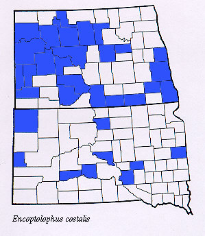 ND/SD Map