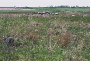 Felton prairie complex, county truslands NM1 transect