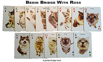 Begin bridge with Ross