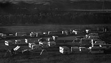 Campground at dusk, 1971